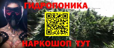 стафф Коммунар