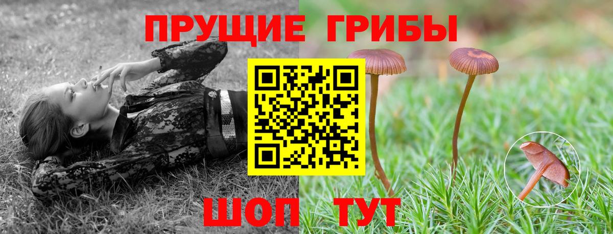 Псилоцибиновые грибы Cubensis  Псилоцибиновые грибы GOLDEN TEACHER  Йошкар-Ола  наркотики  Вход с VPN 